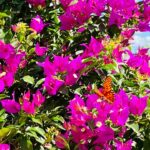 All flowers