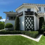 Diamond vines 1